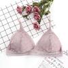 Nuevo sujetador fino estilo francés con copa triangular sin aro de acero, espalda hermosa que envuelve el pecho, encaje sexy con margaritas, ropa interior para mujer
