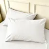 Fronhas Masculinas Classe A Anti-Saliva e Anti-Óleo, Conjunto de Dois, 48x74cm, Conjunto Completo para Travesseiro Único com Capa Interna