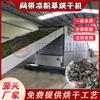 Secador automático de polvo de hierbas tipo banda de malla cactus congelado medicina herbal china hierba deshidratación equipo de secado