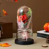 Regalo de Halloween Navidad Cubierta de Vidrio con Luces Ramo de Calabazas Atmósfera Festiva Luz Nocturna Decoración de Escritorio Transfronterizo