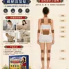 Parche Tibetano Secreto Aliviador de Humedad para Dolor de Hombro, Cuello, Cintura y Rodilla, Parche de Ajenjo, Parche de Moxibustión Calentador, Parche Penetrante, Parche Aliviador de Humedad, disponible para dropshipping