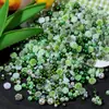 Flores Artificiales de Rosa Mixta Plástico ABS No Poroso Perlas de Imitación Cuentas Sueltas Accesorios para Joyería DIY Pasadores para el Cabello Hechos a Mano Materiales para Uñas
