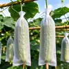 Bolsas Protectoras Impermeables y a Prueba de Insectos de Tejido No Tejido Especializadas para Huertos Caseros, Adecuadas para Pepinos, Melones Amargos y Berenjenas, para Cultivo de Frutas y Verduras al Aire Libre