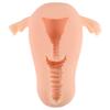 Molde Inverso Útero Nebuloso Vagina Masculina Copo Avião Masturbação Adulta Famosos Brinquedos Sexuais Brinquedos Sexuais Boneca de Silicone