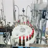 Linha de Produção de Enchimento de Líquido Oral Shengguan Garrafa de Vidro Garrafa de Plástico 25ml Máquina de Enchimento de Bebida Vegetal
