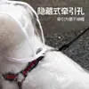 Impermeable Poncho para Perro Protección de Vientre Oso de Peluche Especial Perros Pequeños Medianos Bixiong Cachorro Poncho Transparente Impermeable Ropa para Mascotas