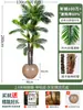 Palmera Areca Artificial Grande de Lujo de Gama Alta, Planta Verde, Árbol Falso, Planta de Bambú Cola de Fénix para Decoración de Paisajismo Tropical de Interiores