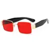 Gafas de sol con caja pequeña de trémolo de moda 2022 para hombre y mujer, gafas de sol de tendencia con patillas anchas y gruesas, gafas de sol transfronterizas europeas y americanas