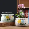 Vaso de flor de suculenta em cerâmica com prato, oferta especial, diâmetro grande, tamanho grande, vaso criativo para suculentas de casa