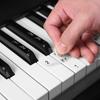 Nano Piano Adesivos de Teclado Transparentes 88/61/54 Teclas Teclado Eletrônico Piano Elétrico Iniciante Crianças Notação Musical Simplificada Adesivos
