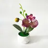 Nuevo Macetero en Forma de Diamante con 1 Flor y 1 Capullo, Orquídea Mariposa Artificial, Decoración Nórdica para Sala de Estar del Hogar, Planta Verde Artificial Bonsái, En Stock
