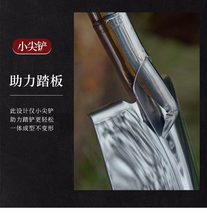 详情9