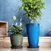 Maceta Grande de Cerámica de Imitación Plástico Tamaño Extra Grande Galón Planta en Maceta Profunda Bambú Tortuga Maceta de Resina Hogar Exterior Patio
