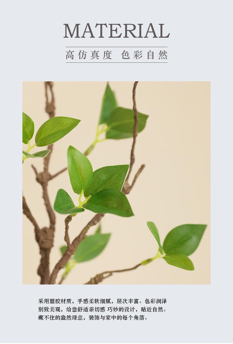 单支枯枝嫩芽_02.jpg