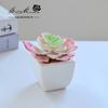 Suculenta Pequeño Bonsái Cerámica Muebles para el Hogar Decoración Fabricante de Jinhua Plantas Verdes Aliexpress Flor Artificial Plantas en Maceta