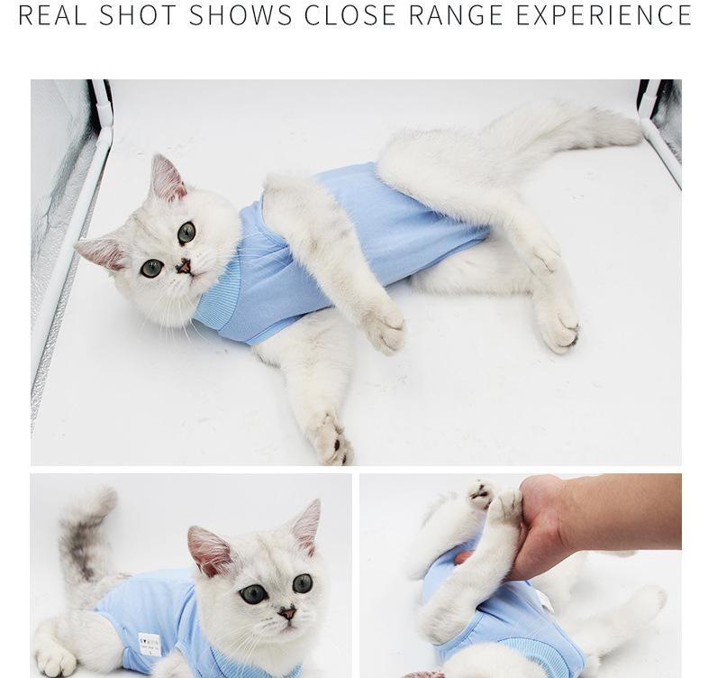 猫用绝育服_13.jpg