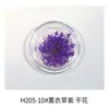 Estilo Ins japonés flor seca para uñas joyería pétalos pequeños Cielo Estrellado 12 rejillas colorida encaje flor decoración de uñas flor