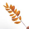 Artificial Transfronterizo 13 Piezas Hojas de Eucalipto Impresas en Seda Colores Otoñales DIY Accesorios para Arreglos Florales de Boda Hoja Individual Decoración del Hogar