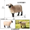 Modelo animal sólido de simulação cognitiva para crianças, antílope, cabra, ovelha, pastagem, aves de capoeira, brinquedos, ornamentos de mão, conjunto