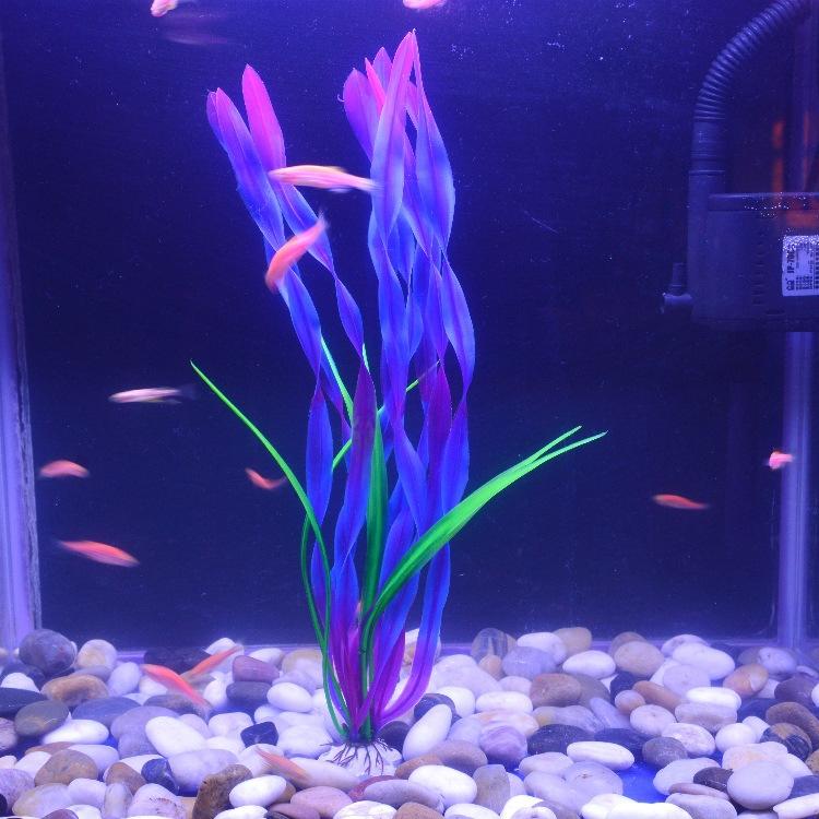 O1CN01QxJTE81KVtxFROgTd_!!1035