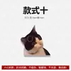 Pegatinas para Coche de Memes de Gatos, Calcomanías Divertidas de Emoticonos de Hakimi para Coche, Precaución para Principiantes, Pegatinas para Coche de Perros Hakimi