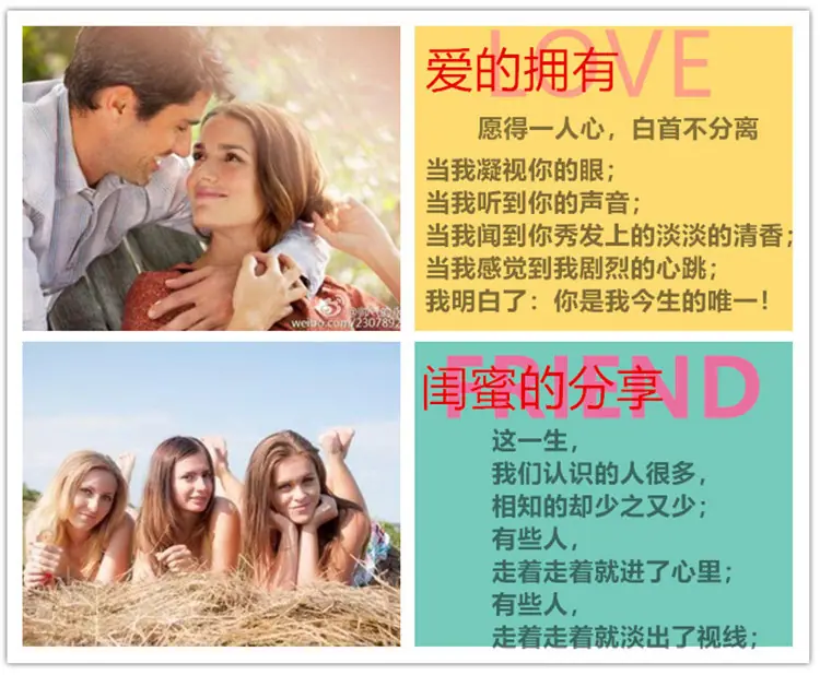 Z1副本