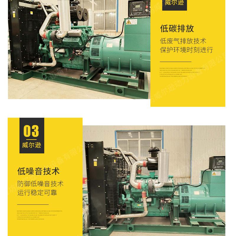 上海800千瓦发电机组_05.jpg