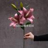 Vermelho vinho popular material de flor de simulação Eucalipto Hortênsia palma vermelha rosa vermelha com salão de casamento estrada atacado