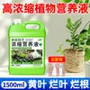 Solución nutritiva para plantas para flores, fertilizante de uso general para plantas verdes, adecuado para árboles de la fortuna, bambú de la suerte, potos, plantas hidropónicas y en maceta