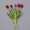 Flor Artificial de Tulipán de Goma Suave de 5 Cabezas Decoración para Sala de Estar Accesorios de Fotografía Tulipán de Látex Ramo de Flores Artificiales de Alta Gama