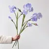 Alice Iris Simulación Sala de Estar Hogar Suave Fotografía de Boda Plano Bambú Flor Flor de Simulación 3 Iris Falsos