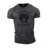 Moderna Nueva Camiseta de Verano Transpirable Cómoda de Cuello Redondo con Estampado de Letras para Hombres, Top Deportivo para Exteriores