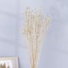 Yunnan imortal feijão rico flor seca flor de acácia material de flor de feijão linho feijão decoração de casa adereços de fotografia fábrica em estoque cabelo