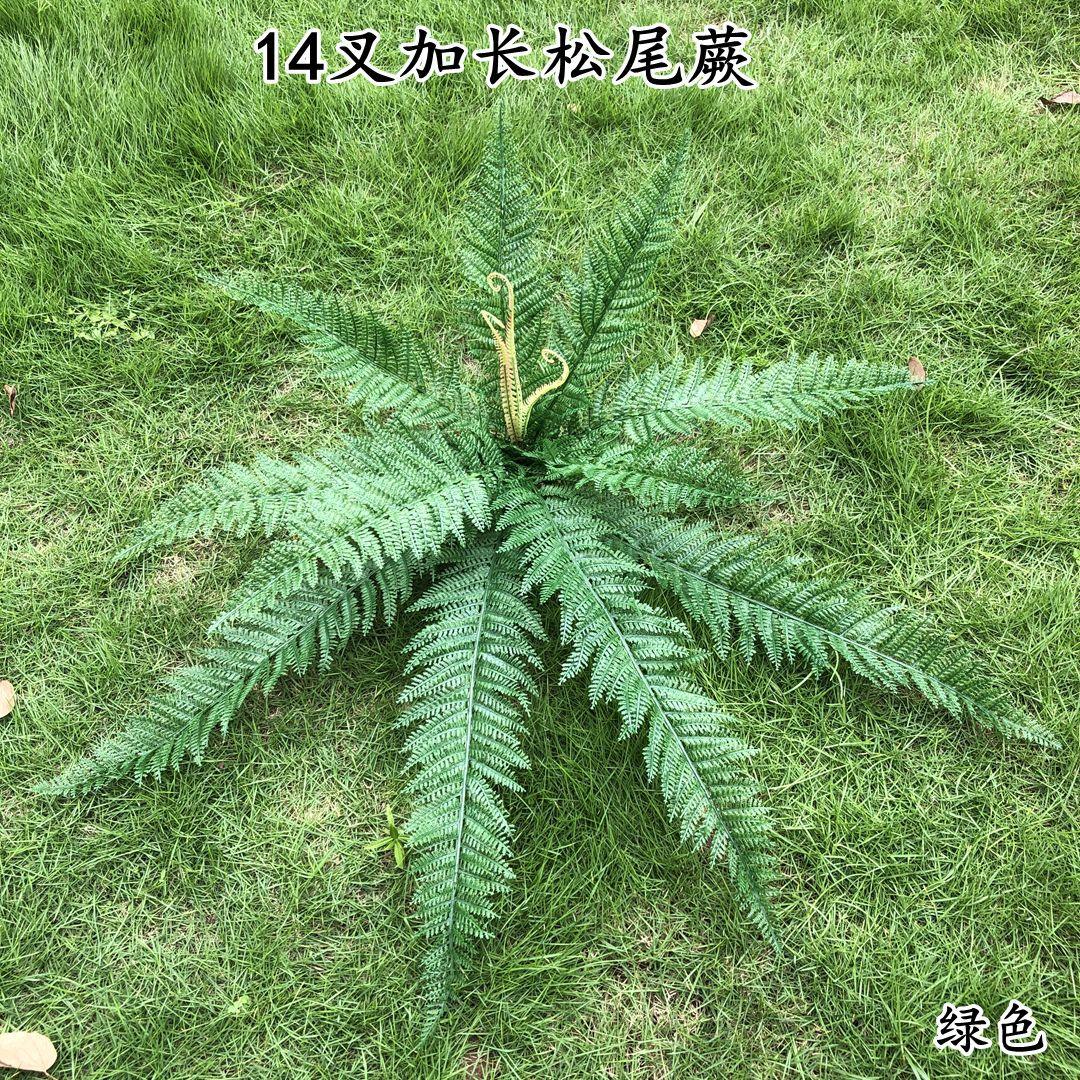 微信图片_20210630130423_副本_副本.jpg