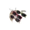 Nuevas Gafas de Sol Sencillas Personalizadas YYDS para Niños Estilo Occidental para Bebés Hombres y Mujeres Gafas de Sol con Sombra Cóncava