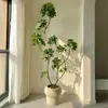 Planta Verde Artificial com Madeira Bico de Pato Realista, Planta Falsa Grande de Chão para Sala de Estar, Flor de Imitação de Alta Qualidade