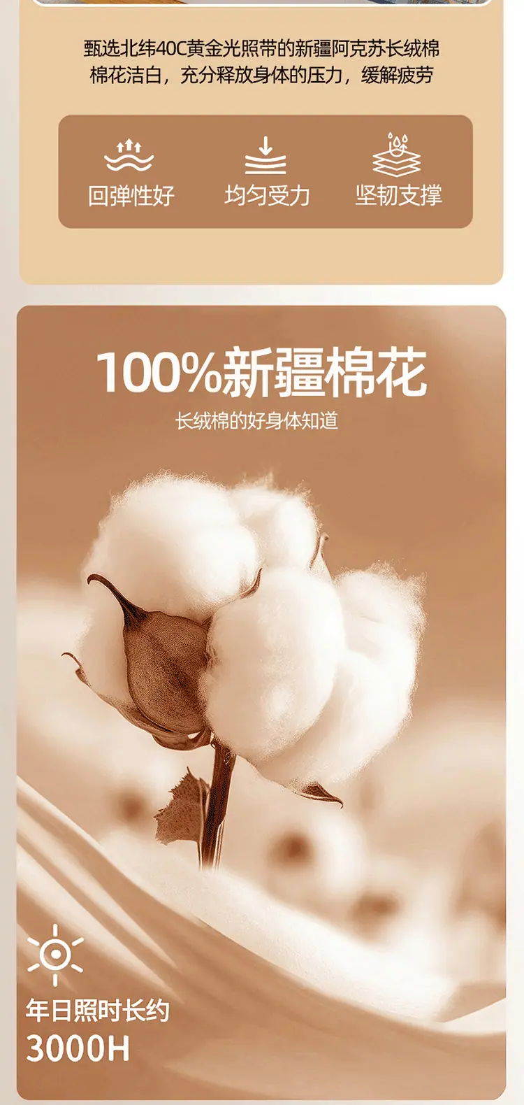750_09.png