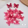 Acessórios Pequenos de Flores Borboletas do Fabricante Flores Artificiais Comprimidas Adereços Decorativos Pétalas DIY Acessórios para Roupas Headwear