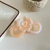 Novo Produto Transfronteiriço Outono e Inverno: Presilha de Cabelo Flor Geométrica Colorida, Fashion, Simples, Versátil, Grampo para Penteado Updo na Nuca, Acessório de Cabelo para Mulheres