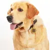 Placa de identificación para perro grabada a medida Placa de identificación anti-pérdida Etiqueta para gato Colgante grabado Suministros para mascotas Colgador con forma de hueso Hecho a medida