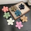 Pinza para Flores Transfronteriza de Alta Gama Color Sólido Esmerilado Horquilla Pinza de Tiburón Horquilla Temperamento Tocado Accesorios para el Cabello Venta al por Mayor