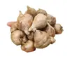 Bulbos de Alyssum Importados, Fresias en Maceta para Interiores y Exteriores, Flores Perennes de Cuatro Estaciones, Plantas con Flor Fáciles de Cultivar