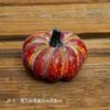 Decoración de Ventana de Exhibición de Paisaje Tema de Cosecha Maíz Caqui Calabaza Ajo Cadena Colgante Otoño Cosecha Jardín de Infancia Creación de Anillos