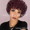 Peruca Amazon Nova Peruca Feminina Cabelo Natural Curto e Encaracolado