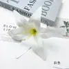 Cabeça de Flor de Lírio Artificial Grande de Filme para Headdress DIY Making Decoração Floral para Salão de Casamento Parede de Flores Arranjo de Flores Fotografia