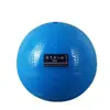Pelota Sólida de 2 kg para Examen de Ingreso a la Preparatoria Prueba Deportiva Equipo de Entrenamiento de 2 kg Pelota de Lanzamiento de Peso para Estudiantes de Primaria Pelota Sólida de Plomo de 1 kg