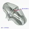 Acessórios para Triciclo Infantil: Gaxeta, Tampa do Tubo do Selim da Bicicleta, Conector do Guidão, Tampa da Espiga Dianteira, Cesta, Rolamento da Roda Traseira