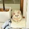 Coleira de Renda para Pet, Coleira Decorativa Fofa para Gatos e Cachorros, Acessórios de Gravata Borboleta de Renda para Cães Pequenos e Médios, Popular Online