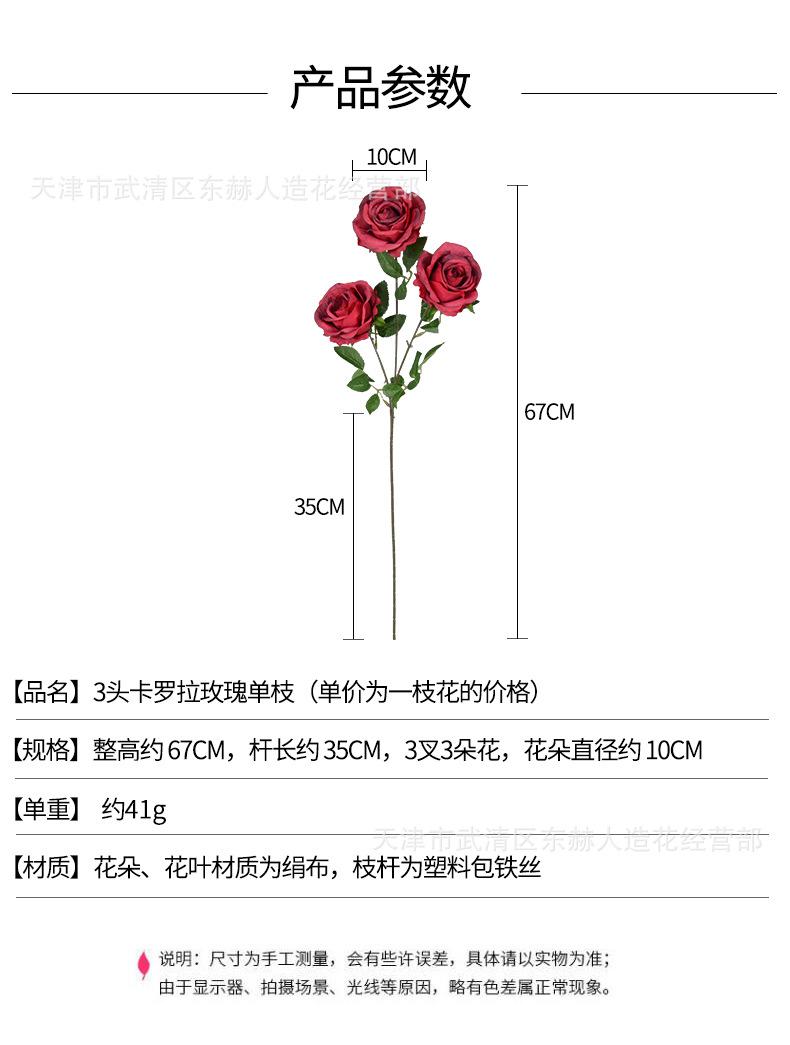 详情_01.jpg
