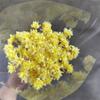 Flor de montanha pequena buquê de flores secas decoração luz luxo high-end diy material real flor air-dried importado espécime material de flor